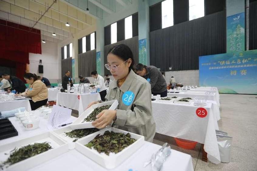 微信截图_20241109142341.png