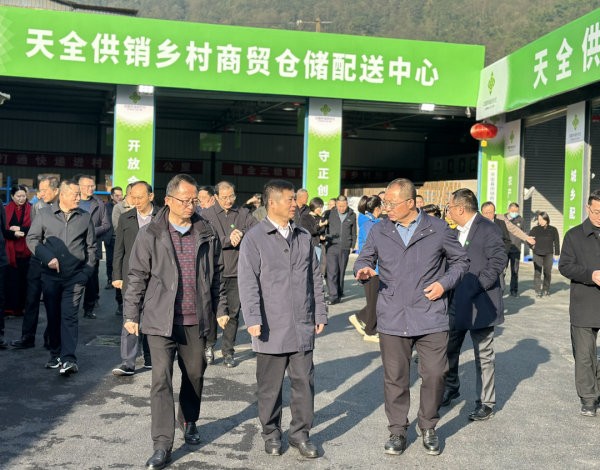 图片 3.png