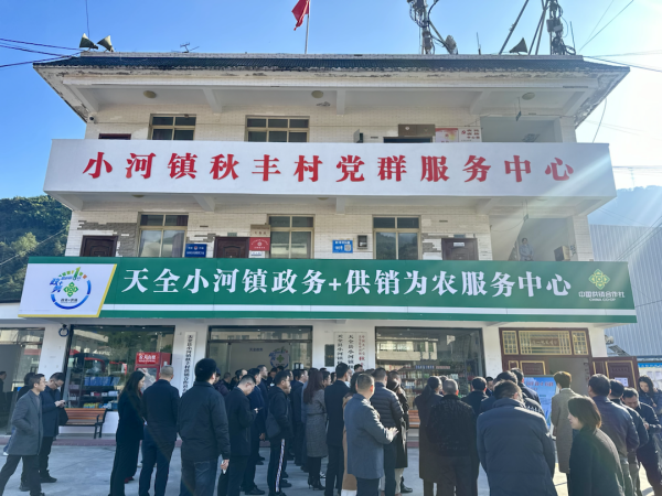图片 8.png